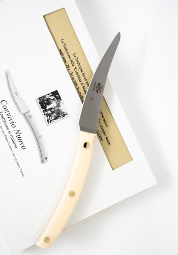 Couteau de cuisine - Lame